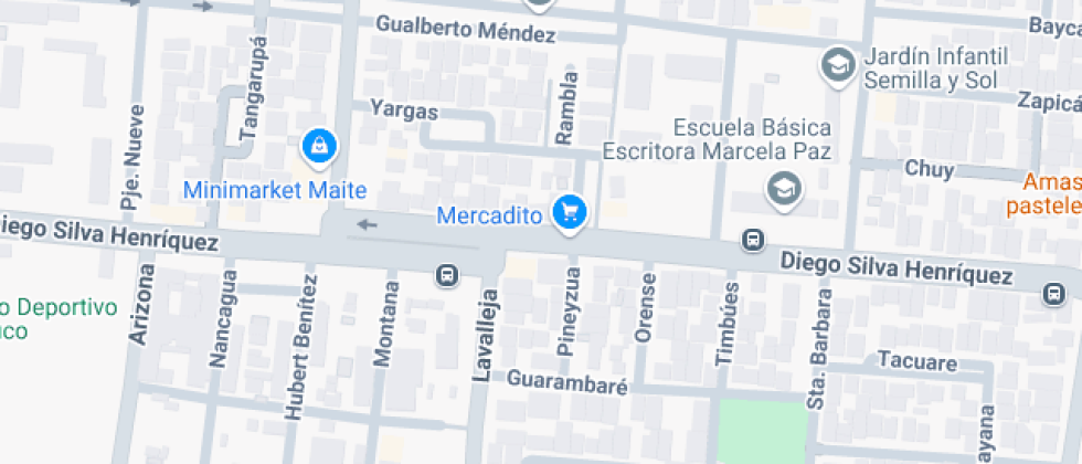 Escritora Marcela Paz