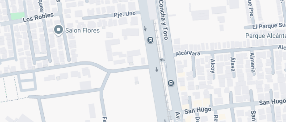 Particular Josefina Gana De Johnson