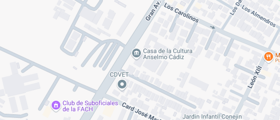 Marcial Martínez Ferrari