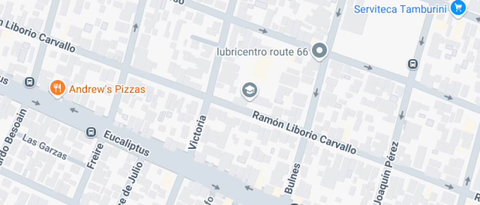 Escritora  Marcela Paz