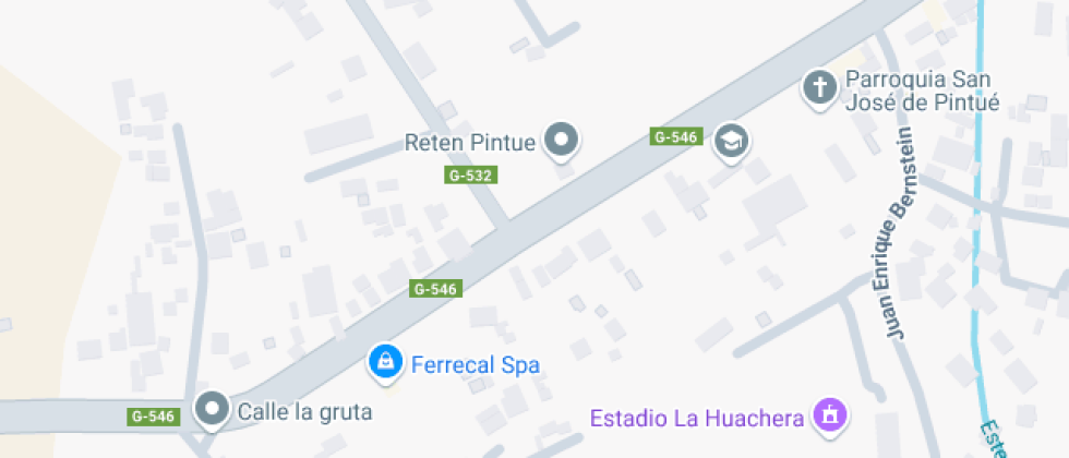 Carmen Reveco Núñez