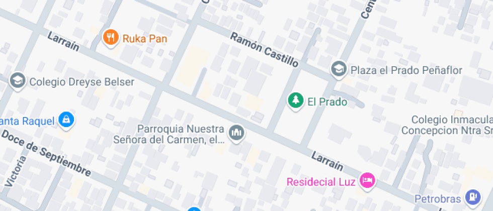 Rosalina Pescio Vargas