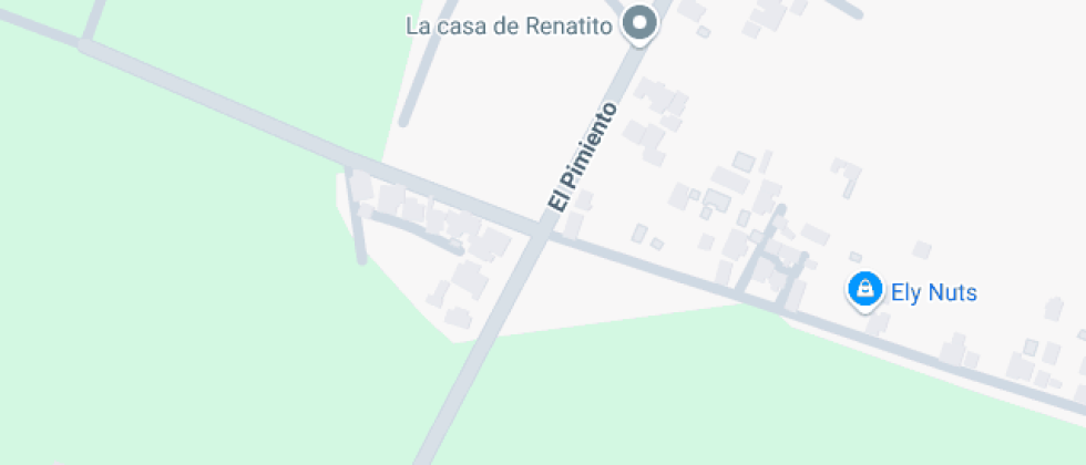 Patricio Larraín Gandarillas