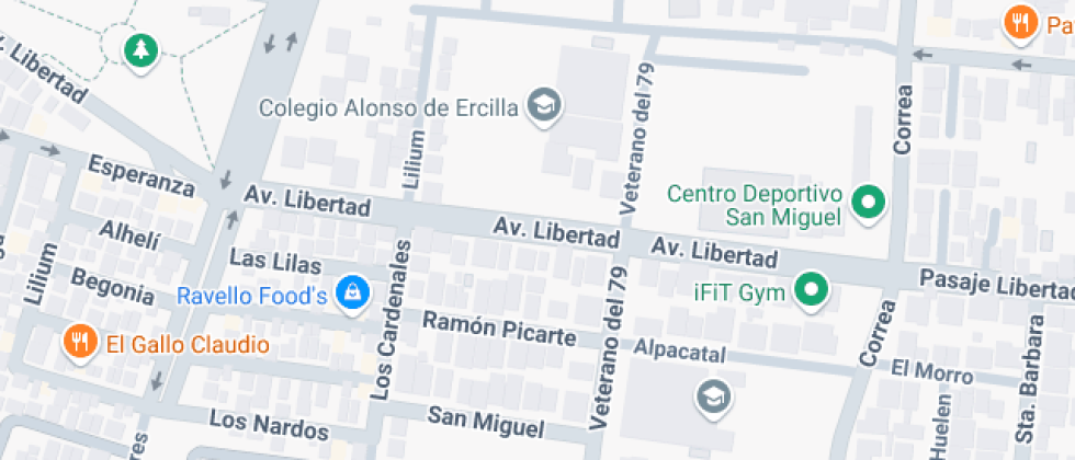 Colegio Alonso De Ercilla