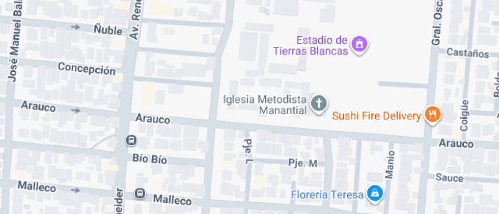 Fernando Binvignat Marín 