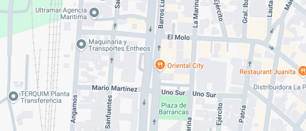 José Domingo Saavedra