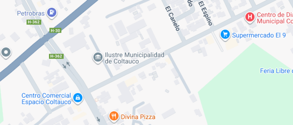 Berta Zamorano Lizana