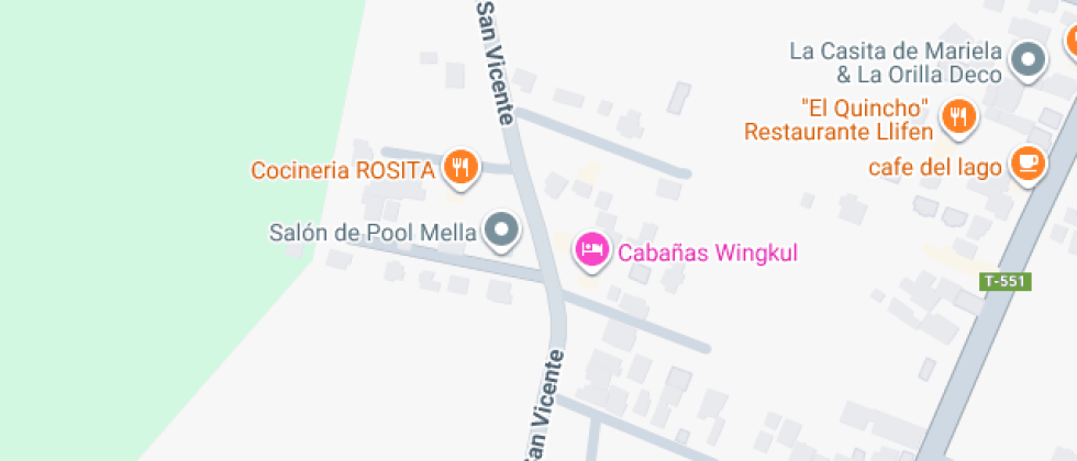 Técnico Profesional Llifena