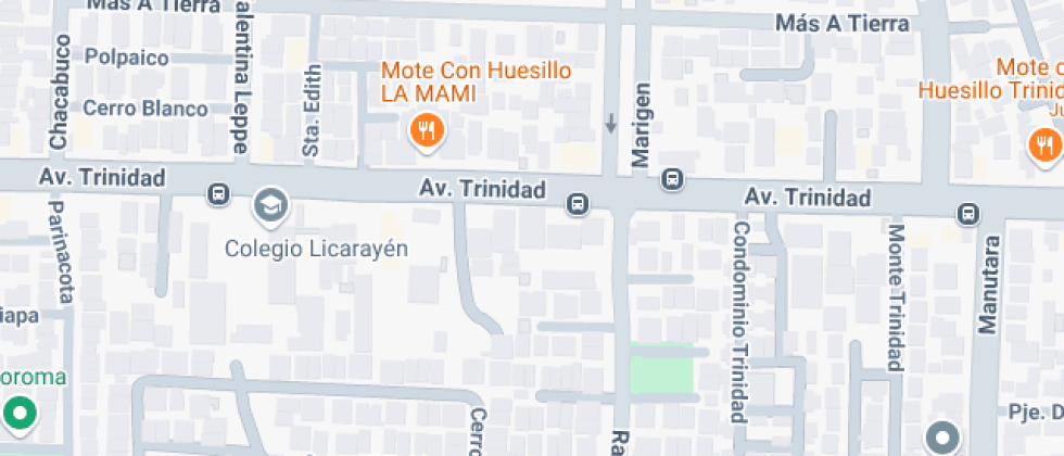 Particular Manuel Vicuña Larraín