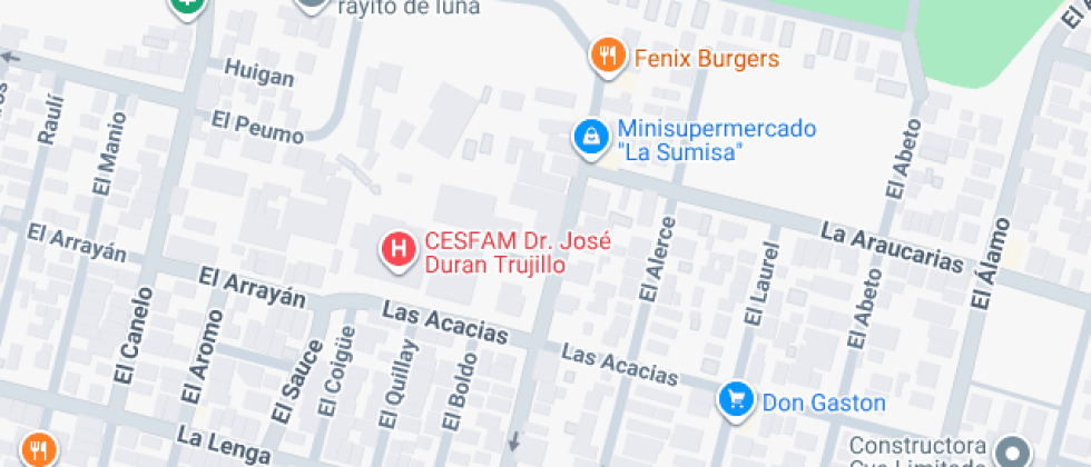 Bicentenario De Excelencia El árbol De La Vida