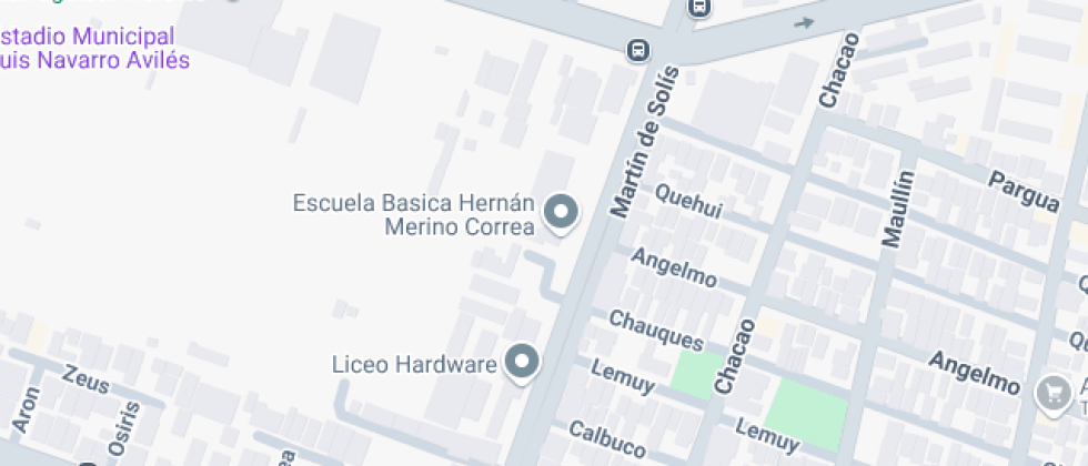 Básica Hernán Merino Correa