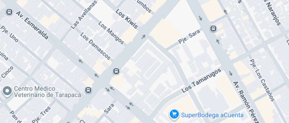 Metodista William Taylor