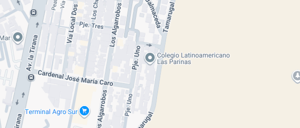 Colegio Lationoamericano Las Parinas
