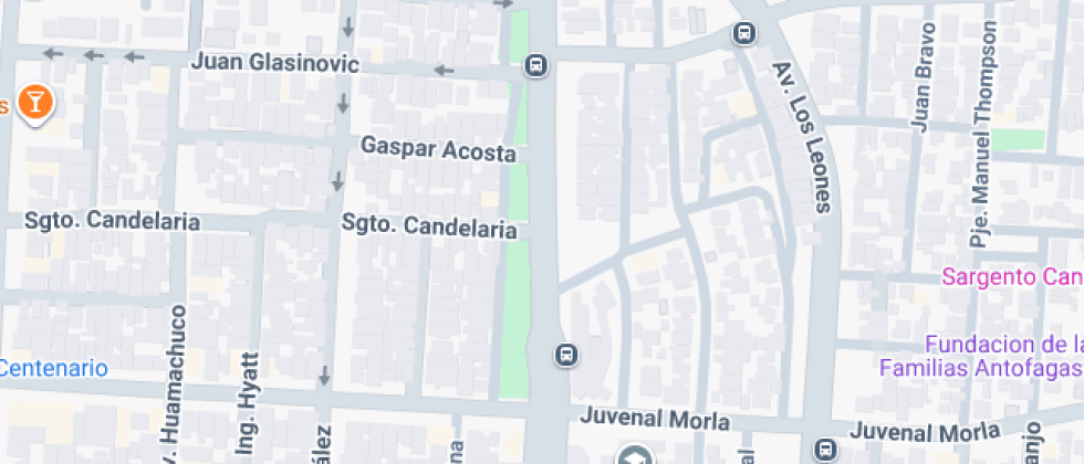 Reverendo Padre Patricio Cariola