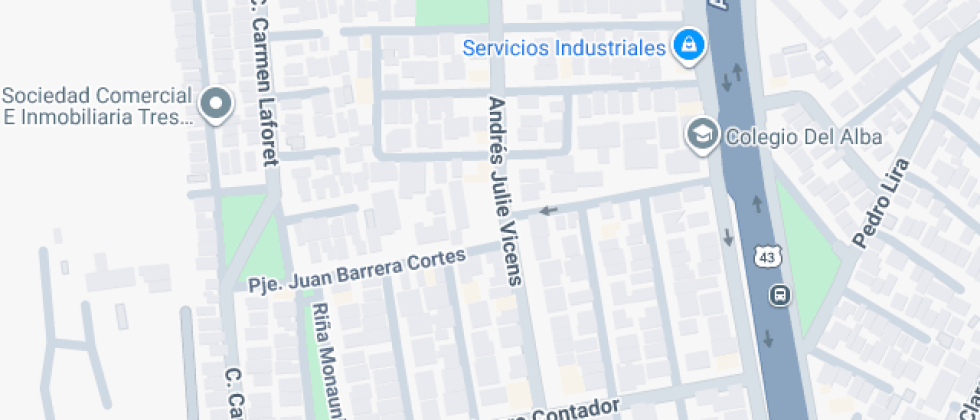 Particular Leonardo Da Vinci