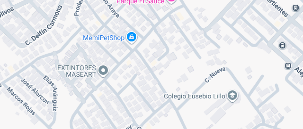 Eusebio Lillo Punta Mira