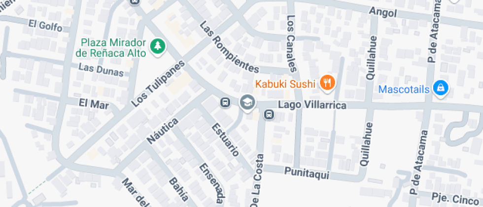 Josefina Magasich Arze 