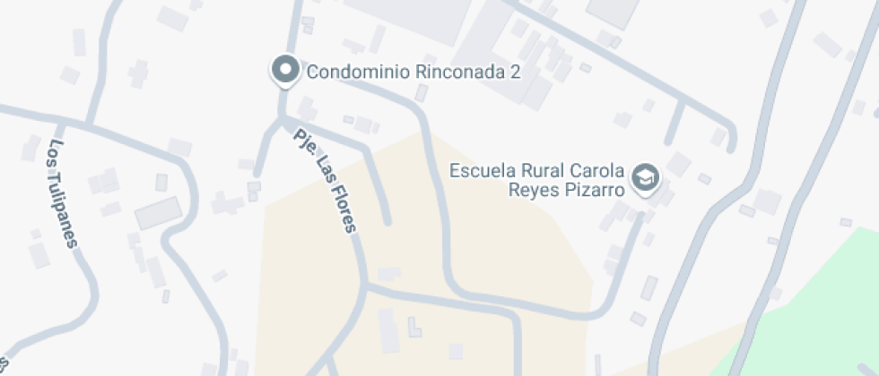 Carola Reyes Pizarro