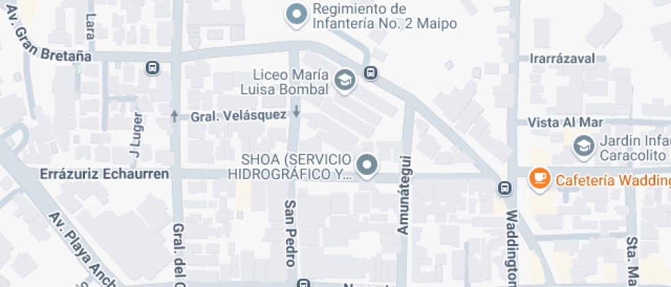Liceo maría luisa bombal