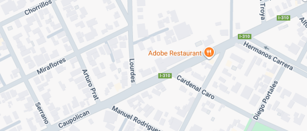 Violeta Parra Sandoval