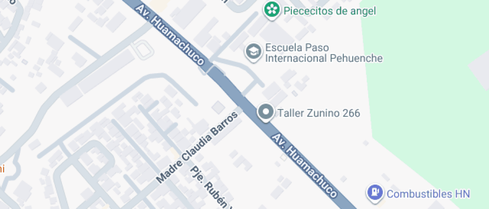 Paso Internacional Pehuenche