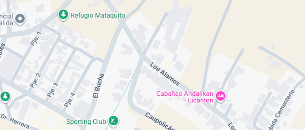 Juan Ignacio Molina De Licantén