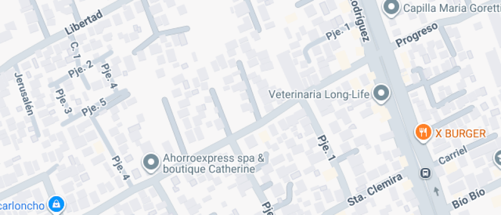 Olimpia Guzmán Bello 