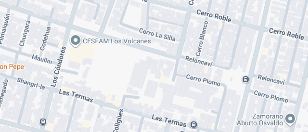 Polivalente Marta Colvin Andrade