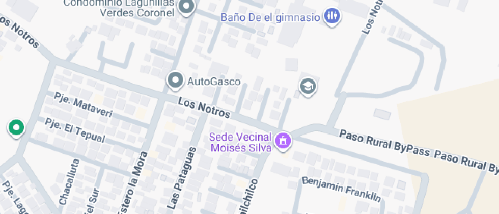 Domingo Parra Corvalán 