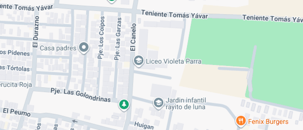 Técnico Profesional Violeta Parra Sandoval