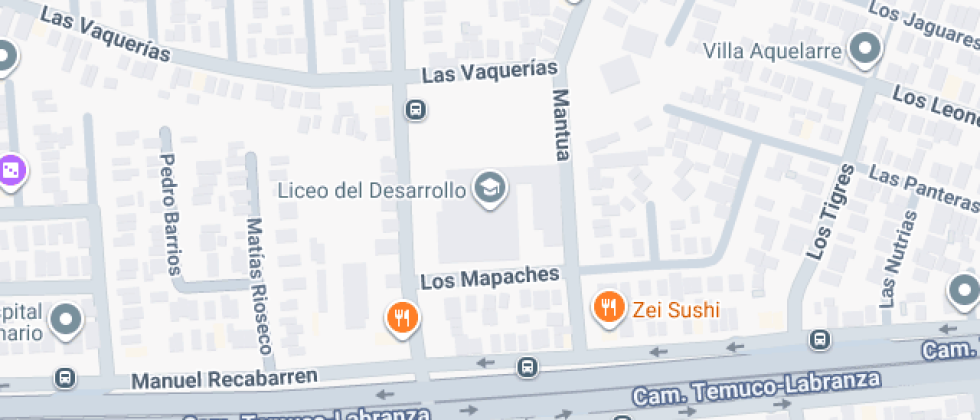 Liceo Comercial Del Desarrollo