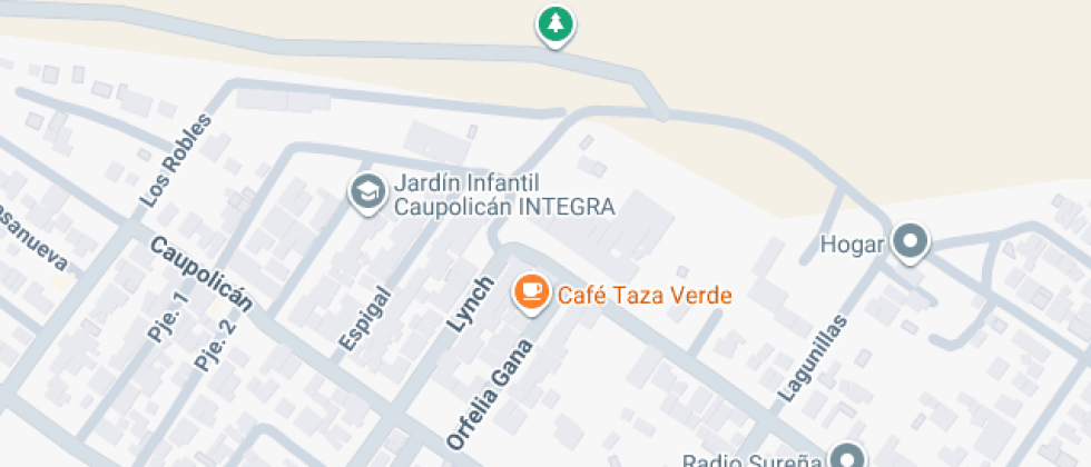 Lidia González Barriga