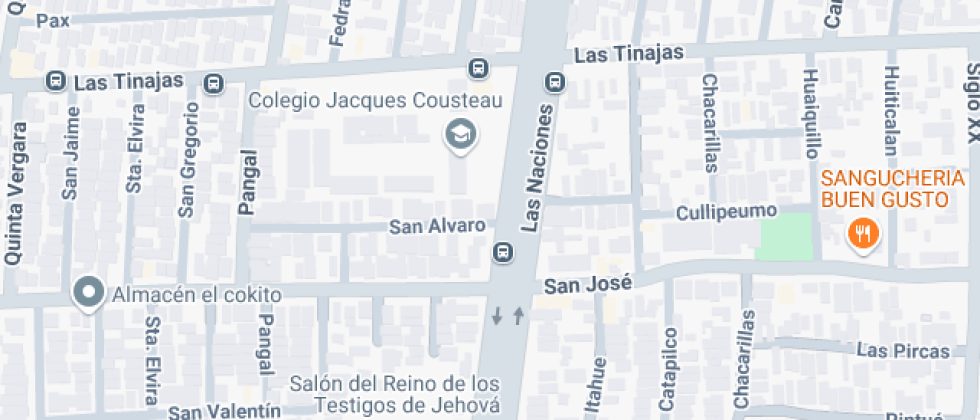 Para Adultos Costeau