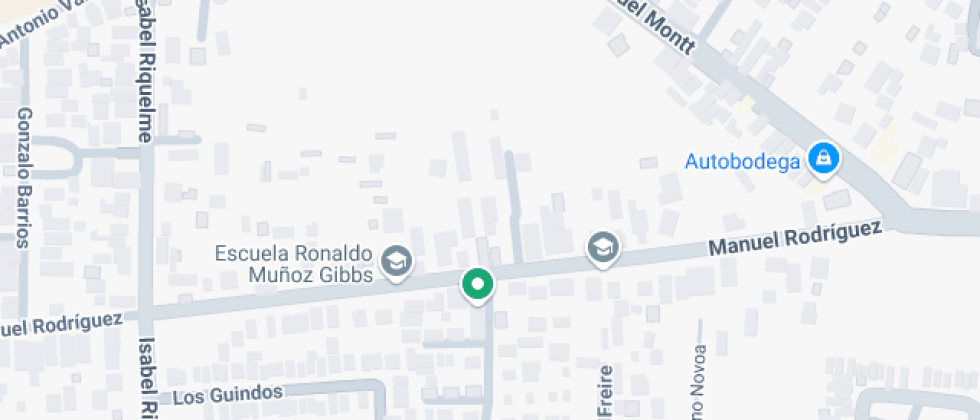 Básica Ronaldo Muñoz Gibbs