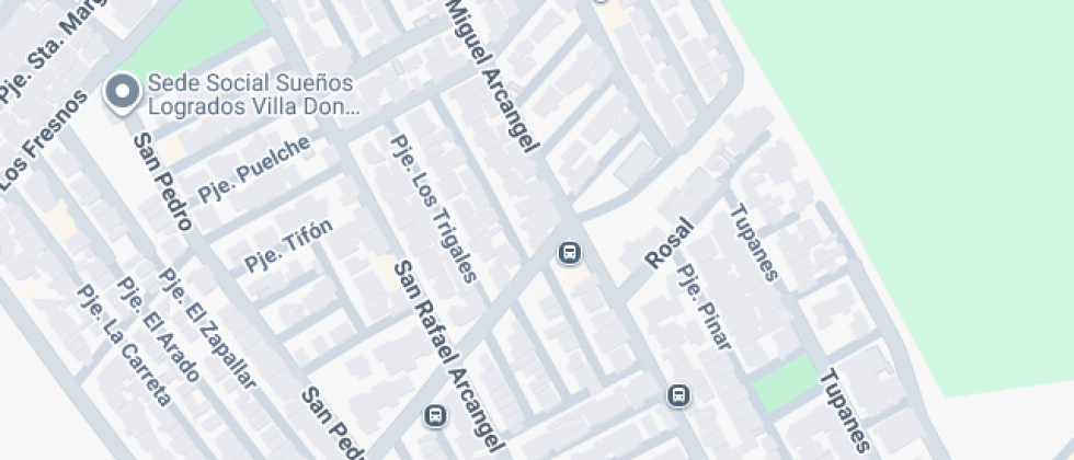 Para Adultos Carpe Diem