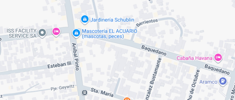 Colegio Baquedano