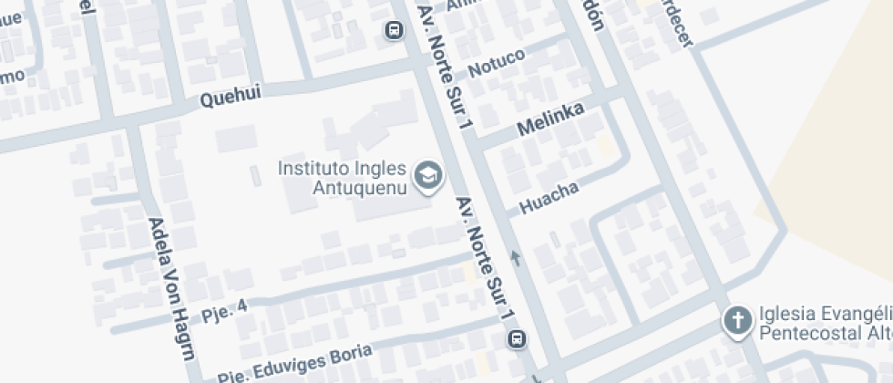 Instituto Ingles Antuquenu