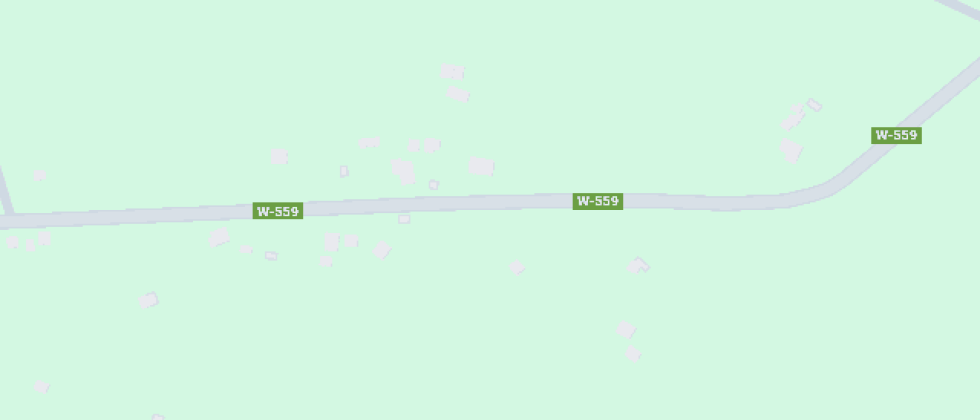 Profesora Eliana Triviño Márquez