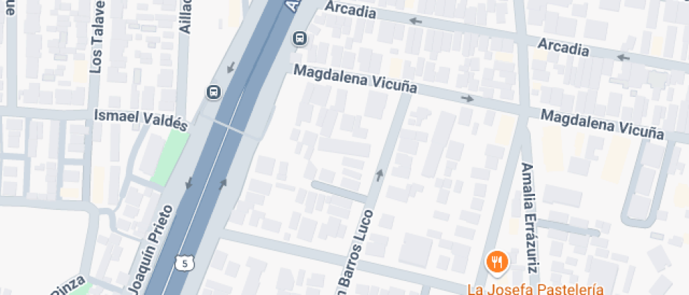 Lenguaje Barros Luco 