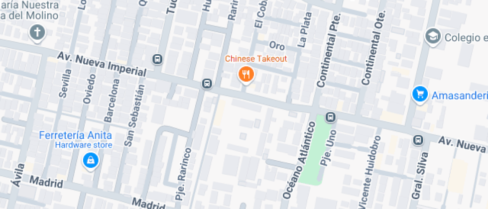 Presidente Salvador Allende Gossens