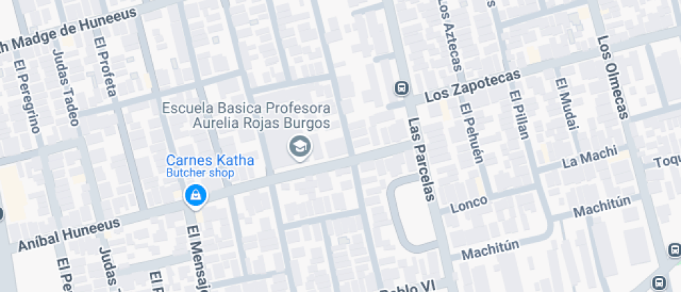 Profesorado aurelia Rojas Burgos