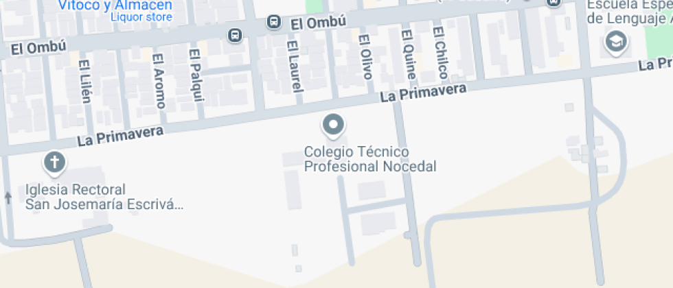 Técnico Profesional Nocedal