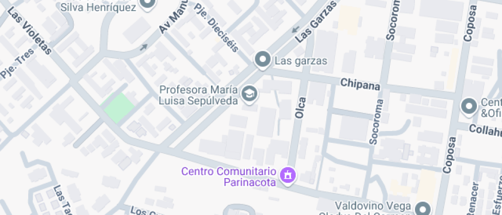 Profesora María Luisa Sepulveda