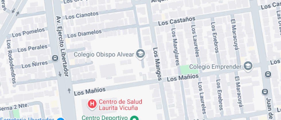 Emprender Obispo Alvear