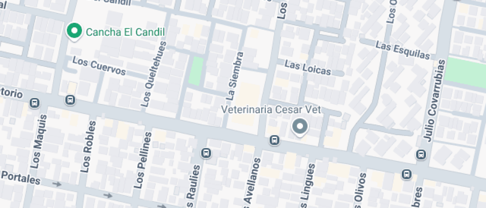 De Adultos José Abelardo Nuñez El Bos