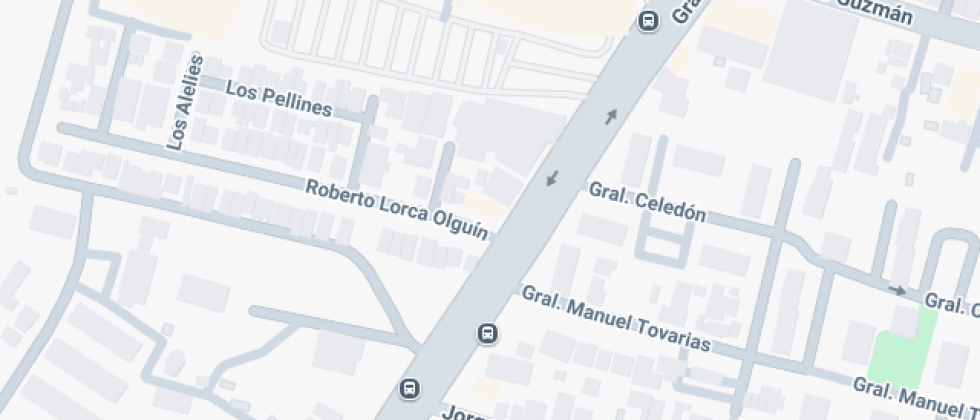  Nuestra Señora María Inmaculada