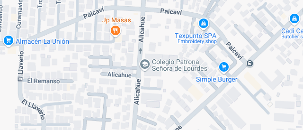 Patrona Senora De Lourdes