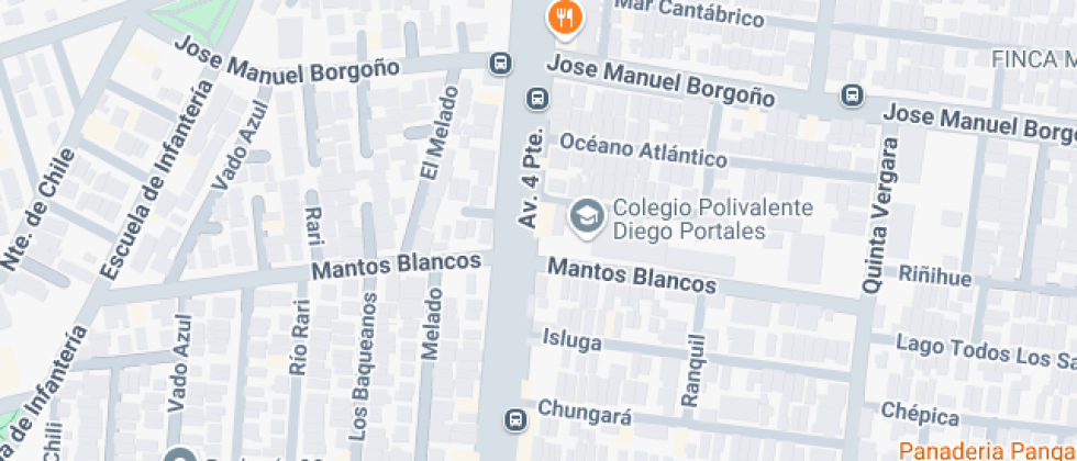 Polivalente Diego Portales