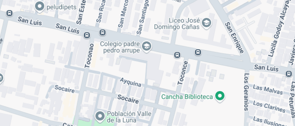 Padre Pedro Arrupe Sagrada Familia