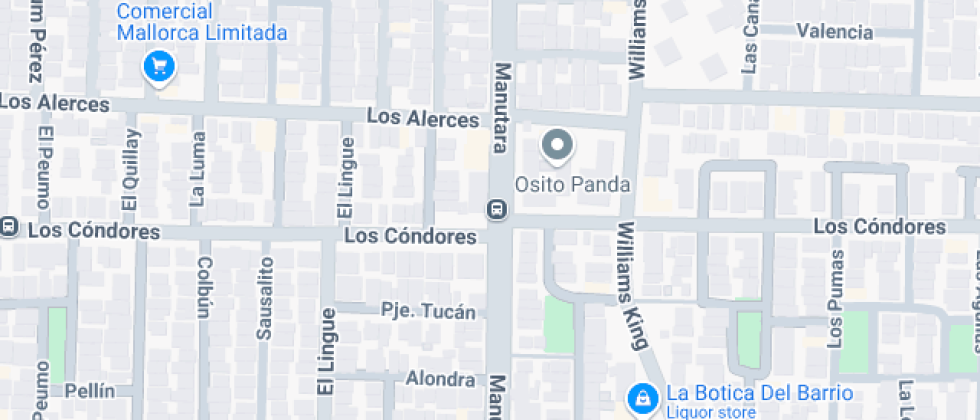 De Adultos Hernando De Magallanes